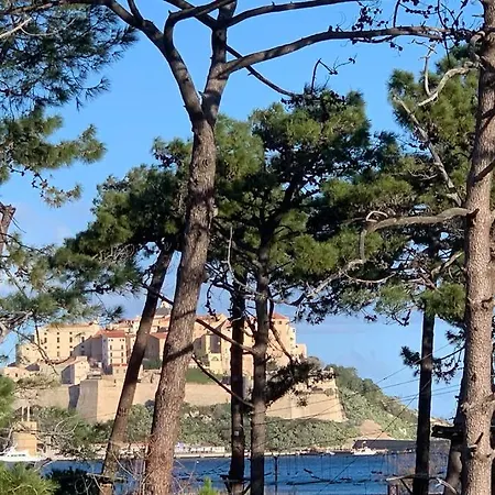 Neuf Sur De Vue Lejlighed Calvi (Corsica)