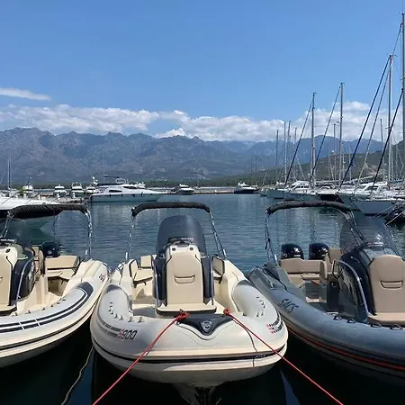 Lejlighed Neuf Sur De Vue