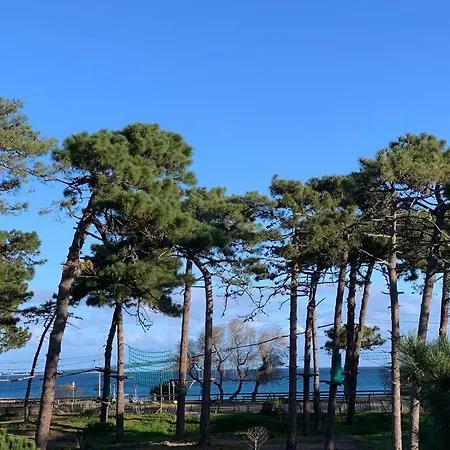 Neuf Sur De Vue * Calvi (Corsica)