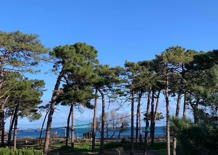 Neuf Sur De Vue * Calvi (Corsica)